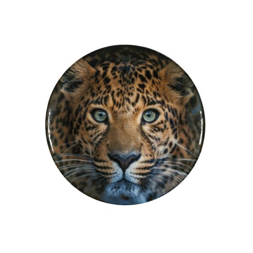 Talerz płytki 20,5 cm Lubiana Safari (Portret Lamparta)