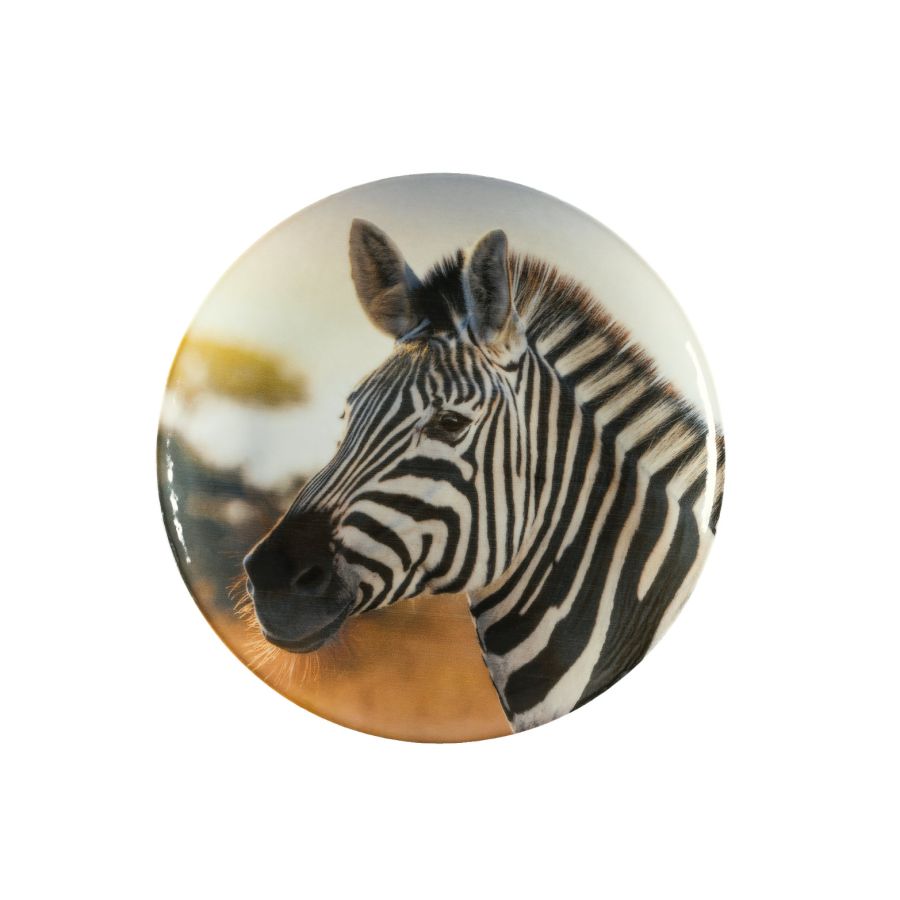 Talerz płytki 20,5 cm Lubiana Safari (Portret Zebry)